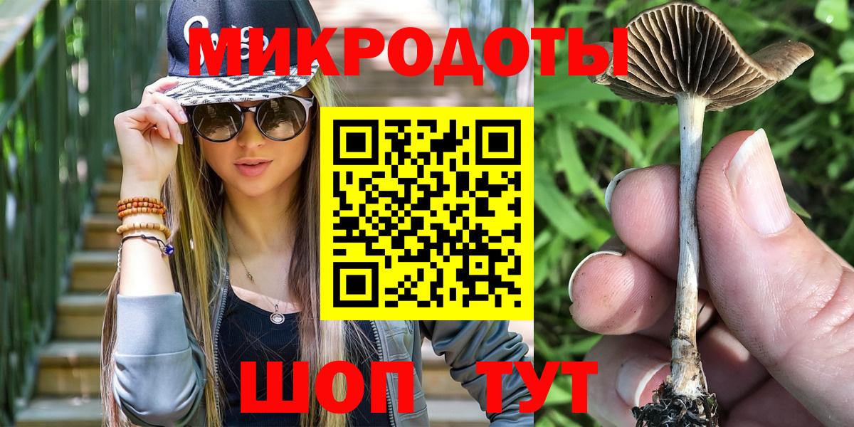 Ишимбай  Псилоцибиновые грибы Psilocybe  Вход с VPN 