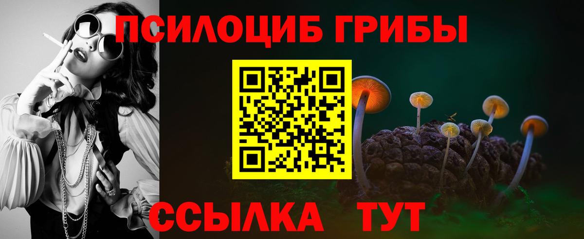 Галлюциногенные грибы прущие грибы Ишимбай